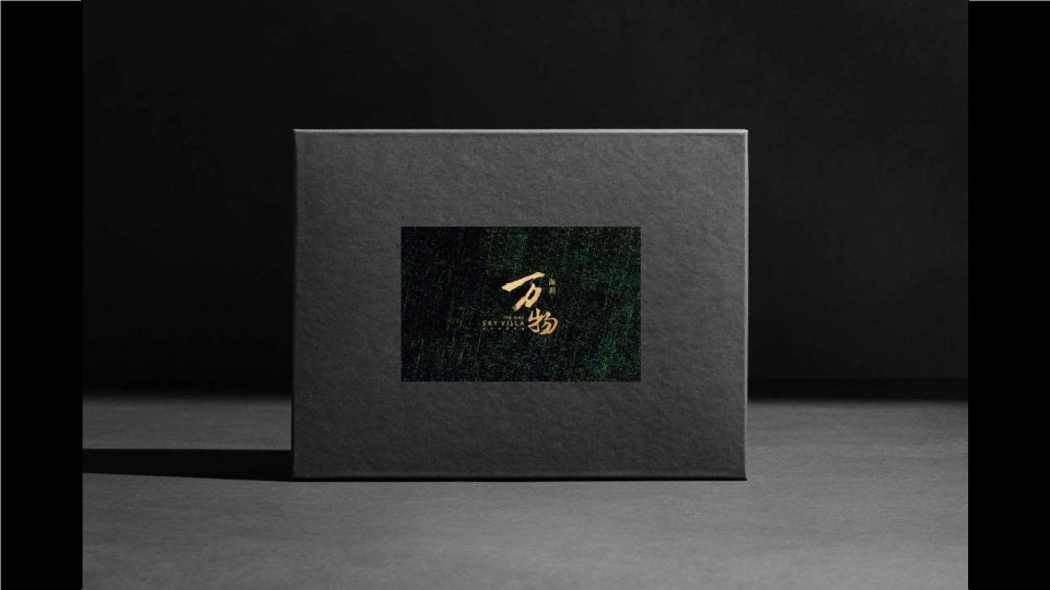 【豪宅】红鹤-南京海玥推广策略提报