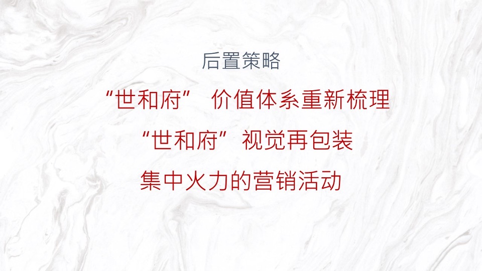 【豪宅】建业世和府开盘前推广策略提报