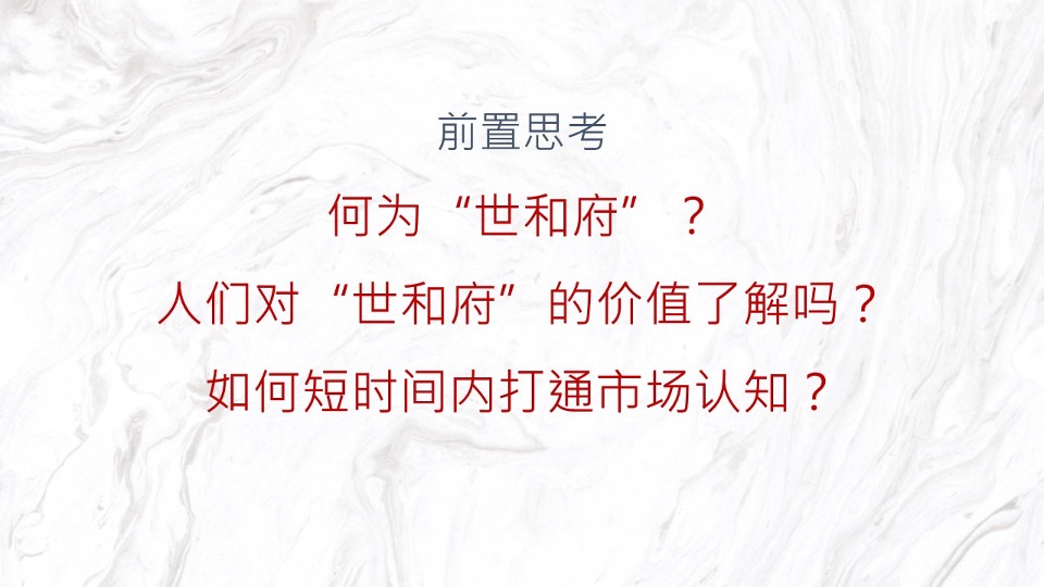 【豪宅】建业世和府开盘前推广策略提报