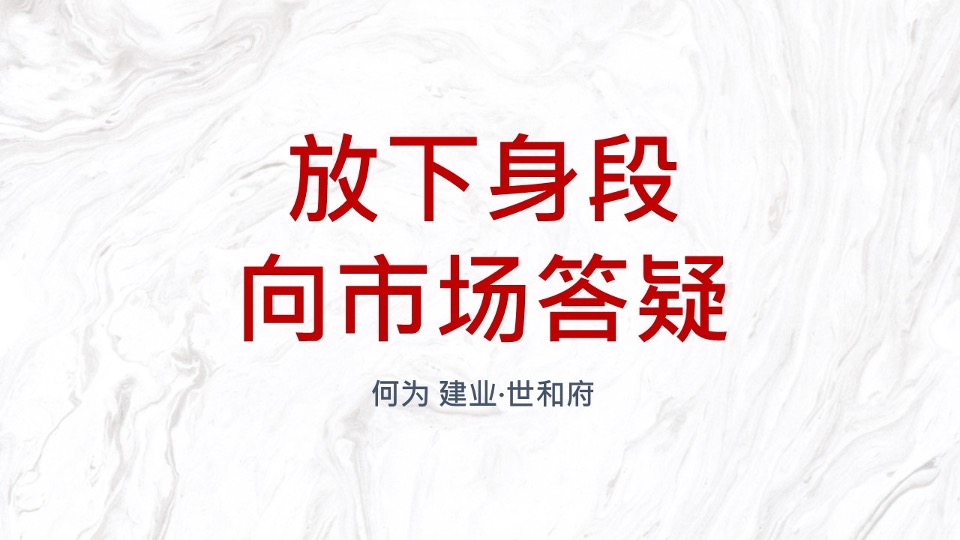 【豪宅】建业世和府开盘前推广策略提报