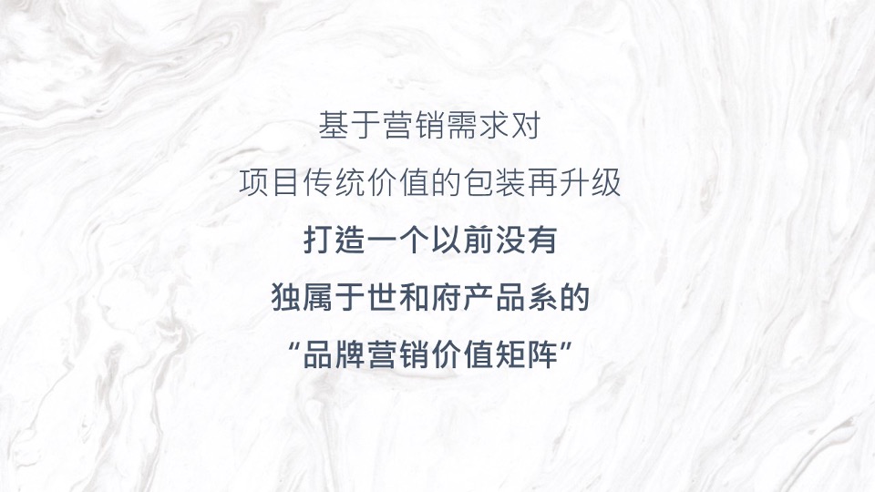 【豪宅】建业世和府开盘前推广策略提报