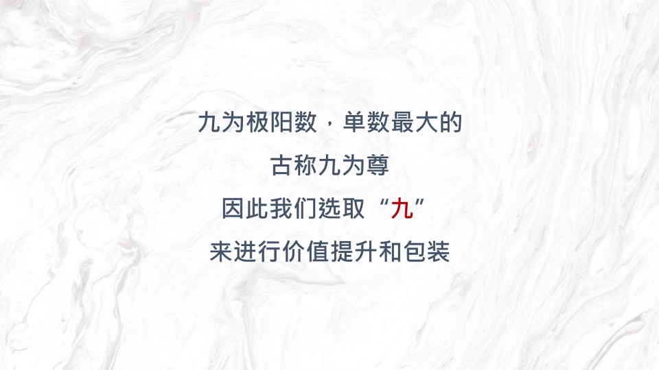 【豪宅】建业世和府开盘前推广策略提报