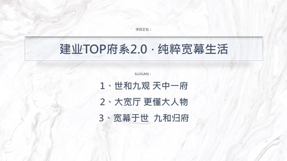 【豪宅】建业世和府开盘前推广策略提报