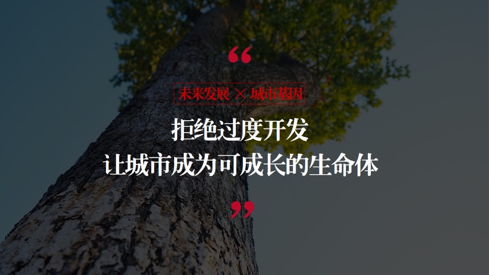 【品牌】深圳道里-云南城投品牌推广提报