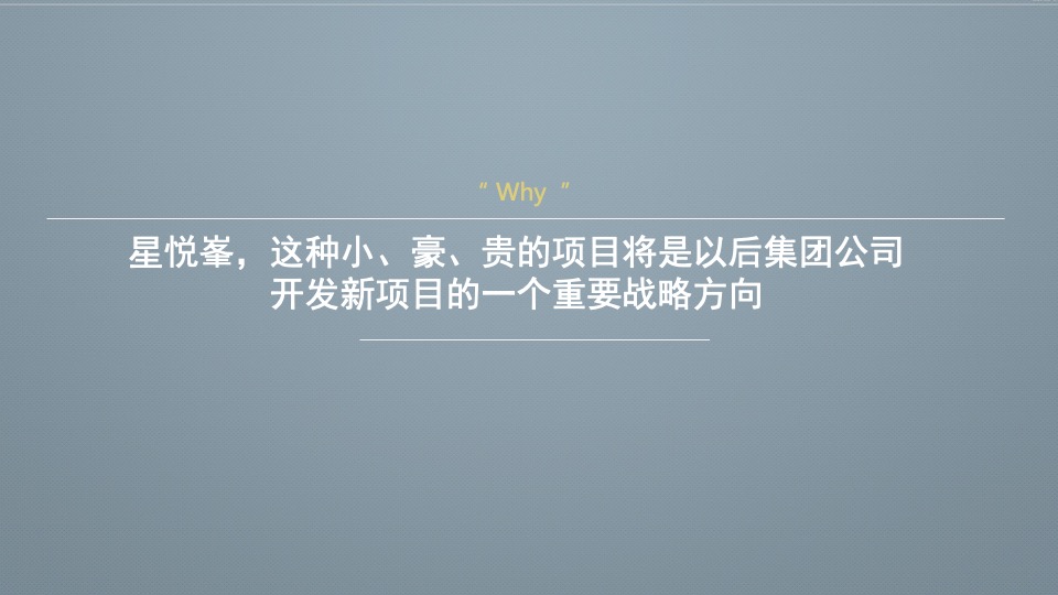 越秀星悦峯整合推广竞标方案