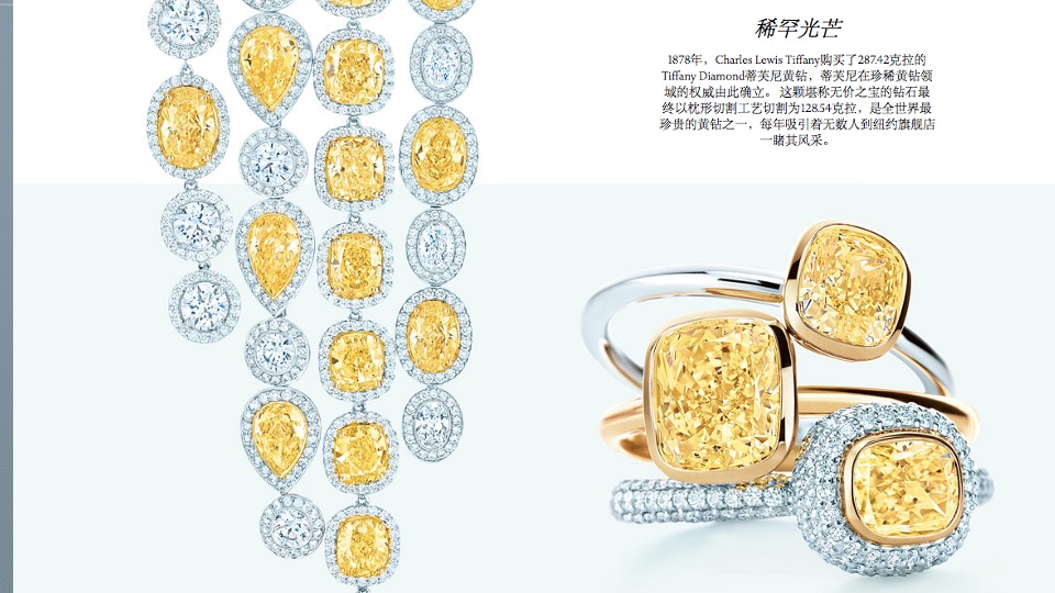 越秀星悦峯整合推广竞标方案