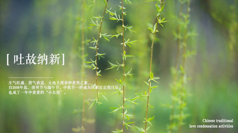 地产项目4月清明节暖场（诗境清明·不负时光主题）活动策划方案