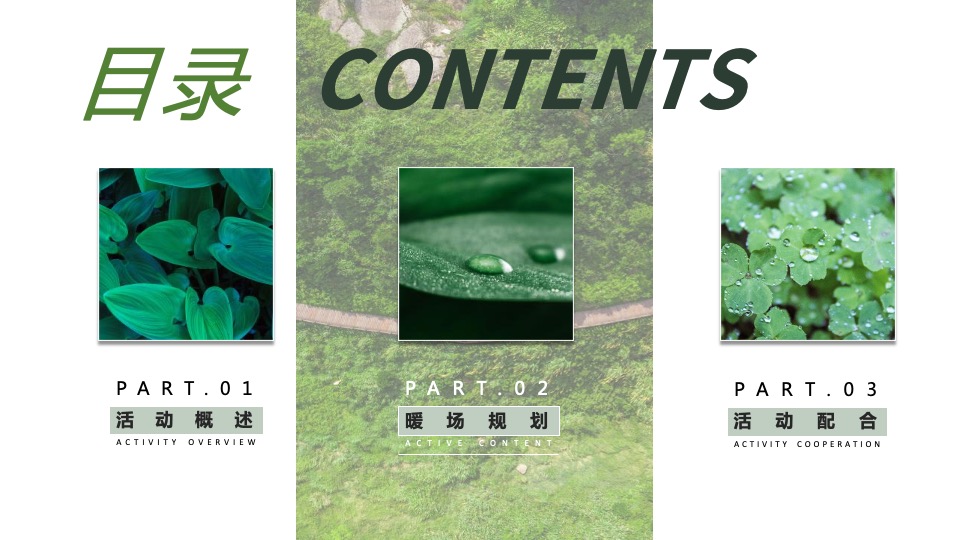 地产项目春季剑英湖公园开湖节系列活动（一起开湖主题）活动策划方案