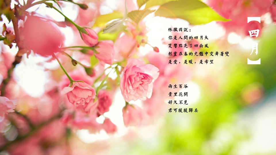 地产项目春日4-6月系列暖场（最是一年春好处主题）活动策划方案