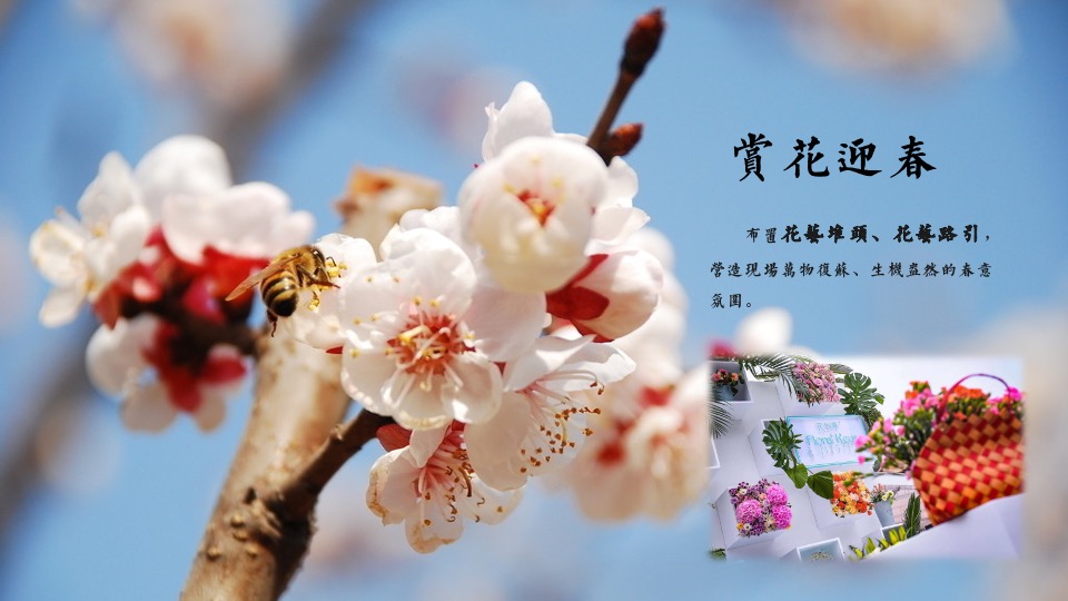 地产项目春日4-6月系列暖场（最是一年春好处主题）活动策划方案