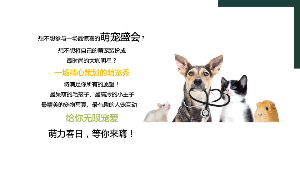 地产项目春季4月月度暖场（人间四月·遇见好春光主题）活动策划方案