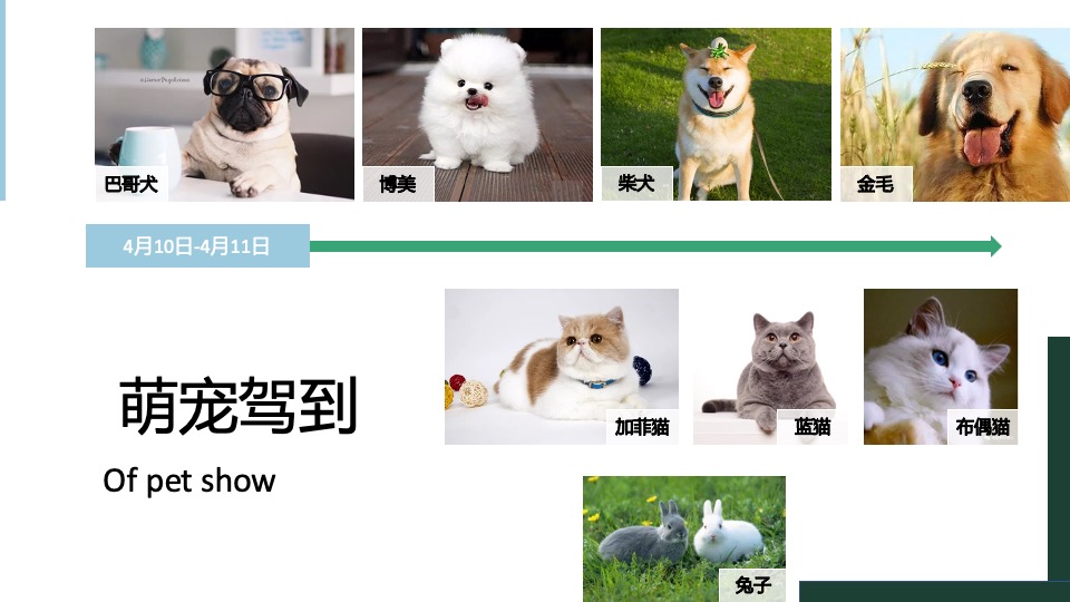 地产项目春季4月月度暖场（人间四月·遇见好春光主题）活动策划方案