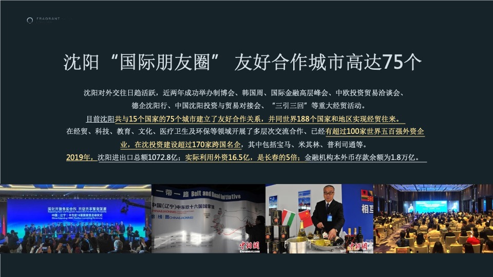 沈阳龙湖·岸芷汀兰提报终稿