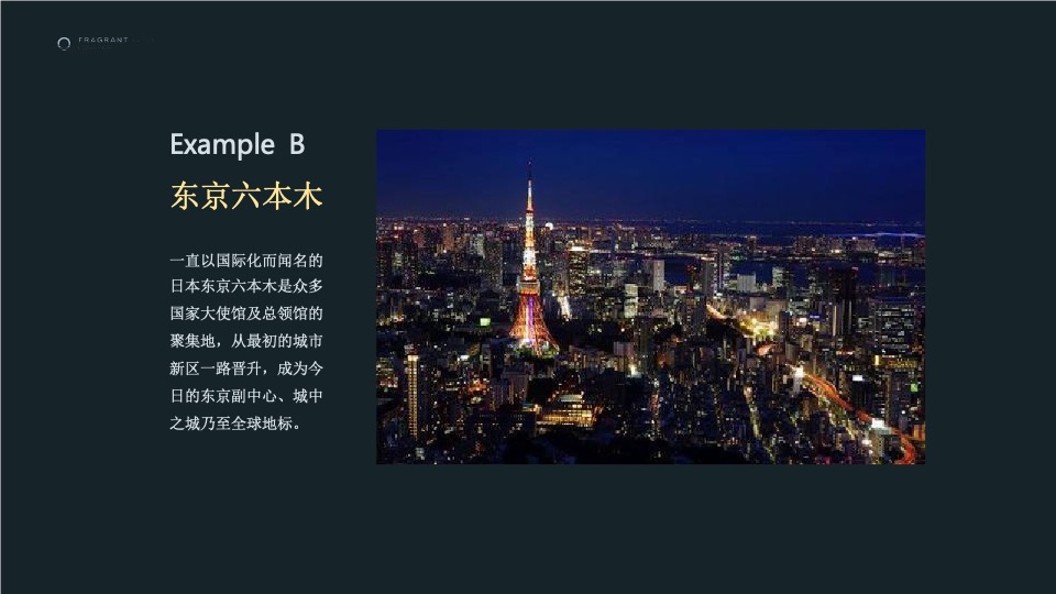 沈阳龙湖·岸芷汀兰提报终稿