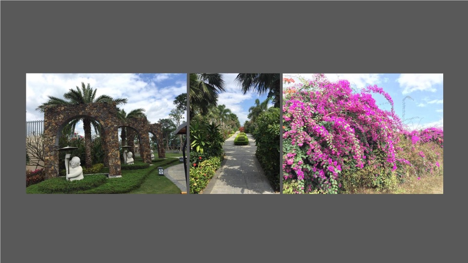 【文旅】中交绿城·高福小镇整合推广服务提案