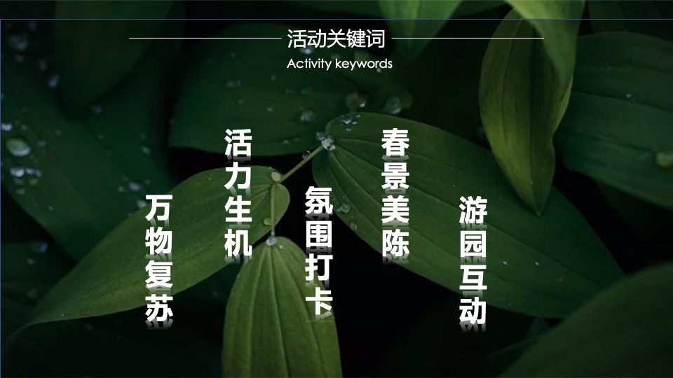 商业广场春季氛围布置及暖场（不负美好春光主题）活动策划方案