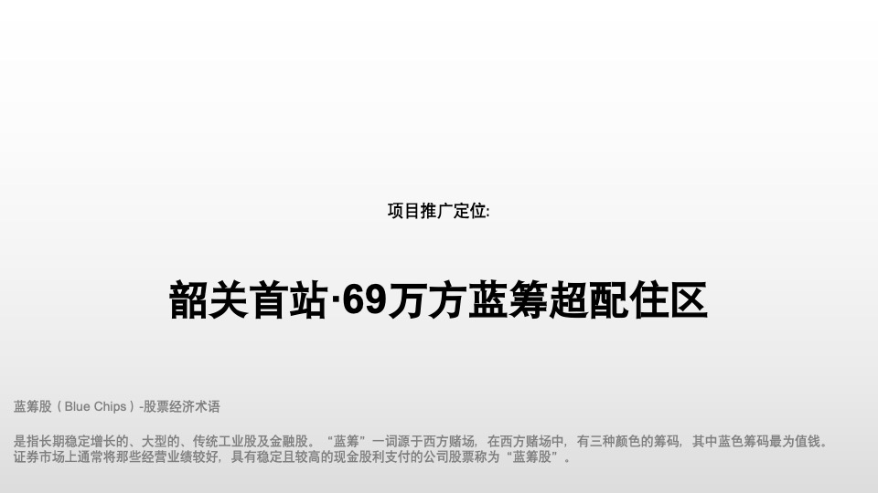 保利·时光印象推广策略案