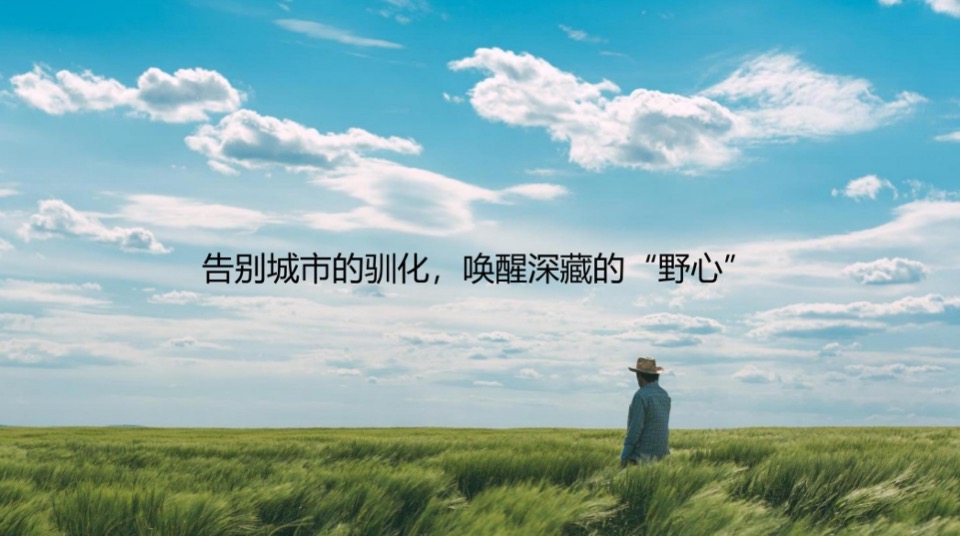 异见广告-融创归野小镇文旅项目推广提报