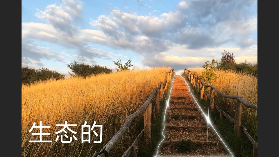 异见广告-旭辉青龙项目推广策略提报