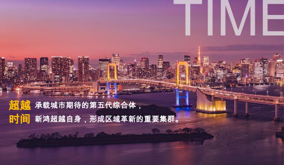 【综合体】杭州文泓广告-新鸿龙港未来城整合推广案