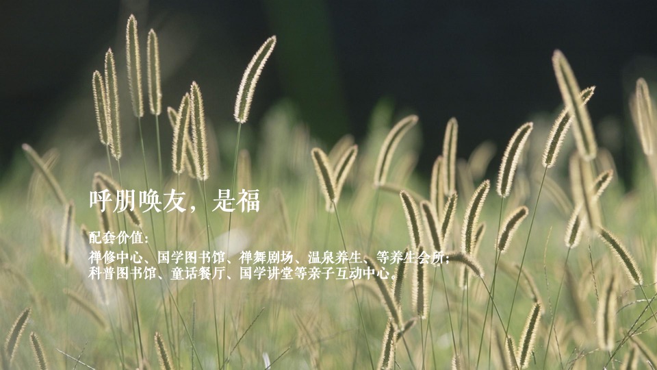 中交绿城高福小镇3期提案