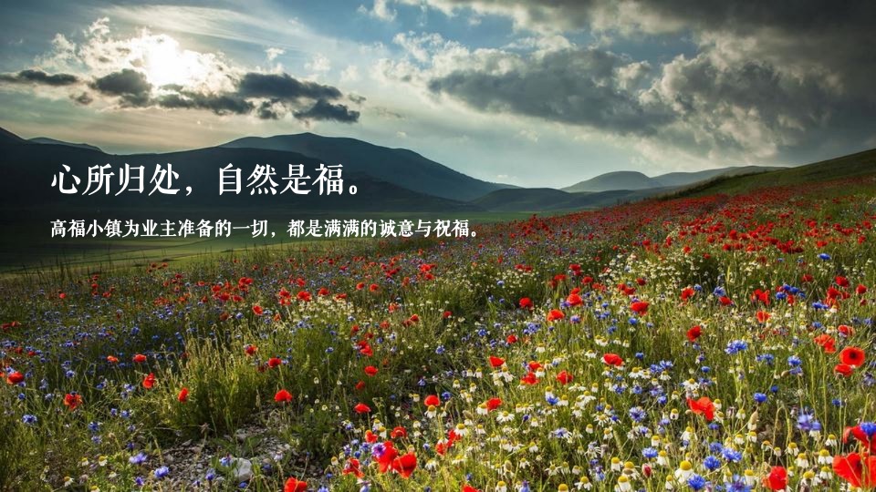 中交绿城高福小镇3期提案