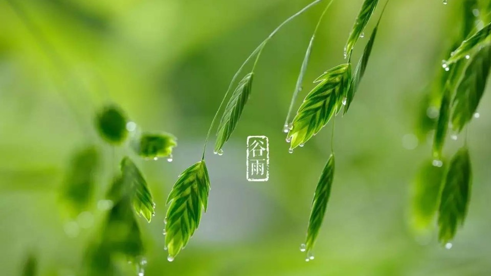 地产项目春季4月月度暖场（翘首以盼·恰是四月主题）活动策划方案