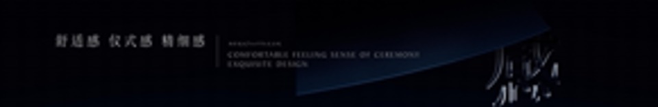 宁波绿城柳岸晓风产品发布会（产品）演讲稿