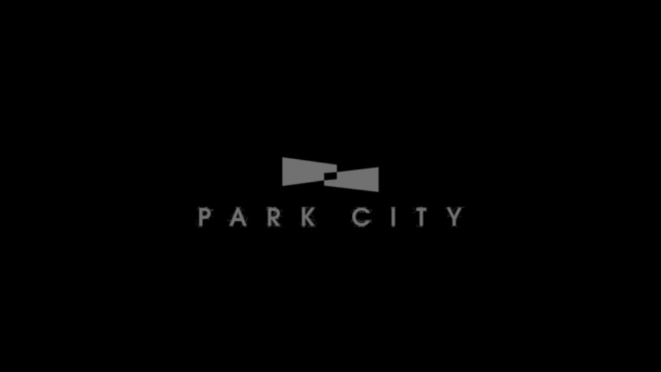 合肥招商奥体公园TOD项目首开前执行推广思考