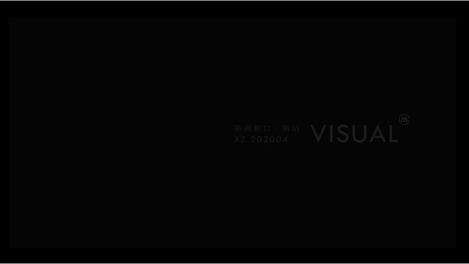 合肥招商奥体公园TOD项目首开前执行推广思考