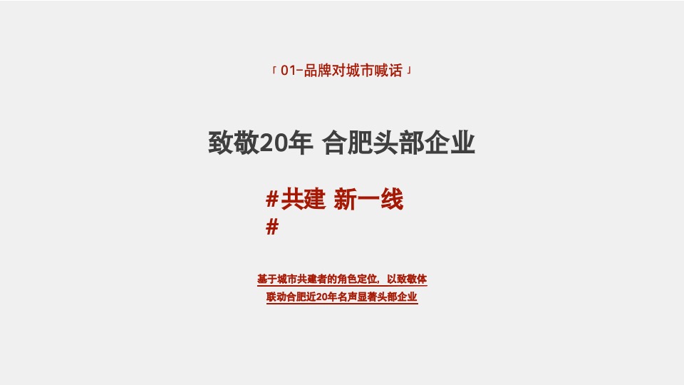合肥招商奥体公园TOD项目首开前执行推广思考