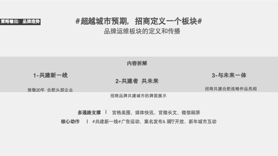 合肥招商奥体公园TOD项目首开前执行推广思考
