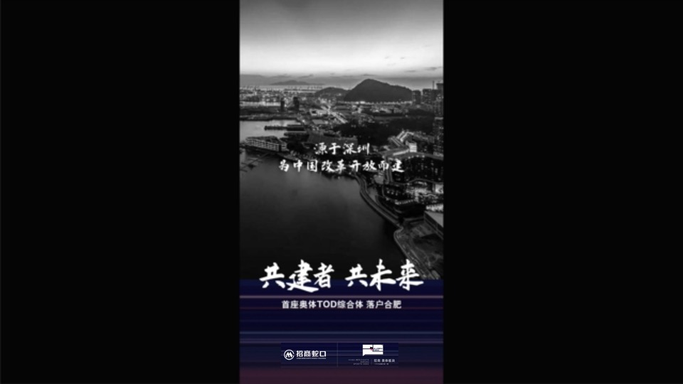 合肥招商奥体公园TOD项目首开前执行推广思考