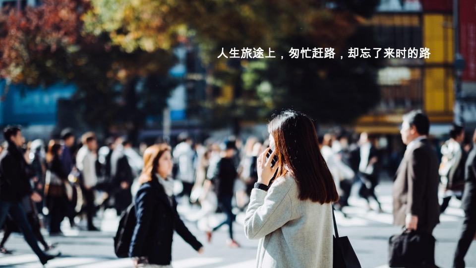 乐道创意 旭辉·兴能静安府策略提报