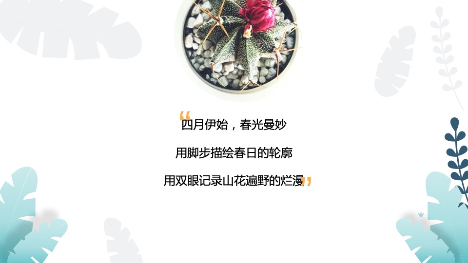 地产项目醒春计划（春日限定·奇思妙想季主题）活动策划方案