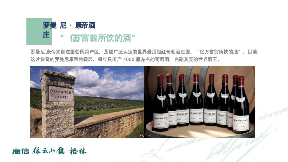 海信依云小镇上半年推广策略