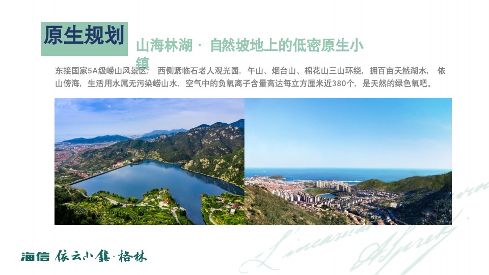 海信依云小镇上半年推广策略