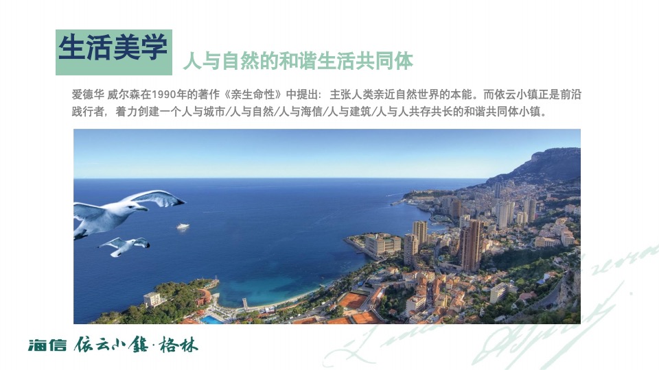 海信依云小镇上半年推广策略