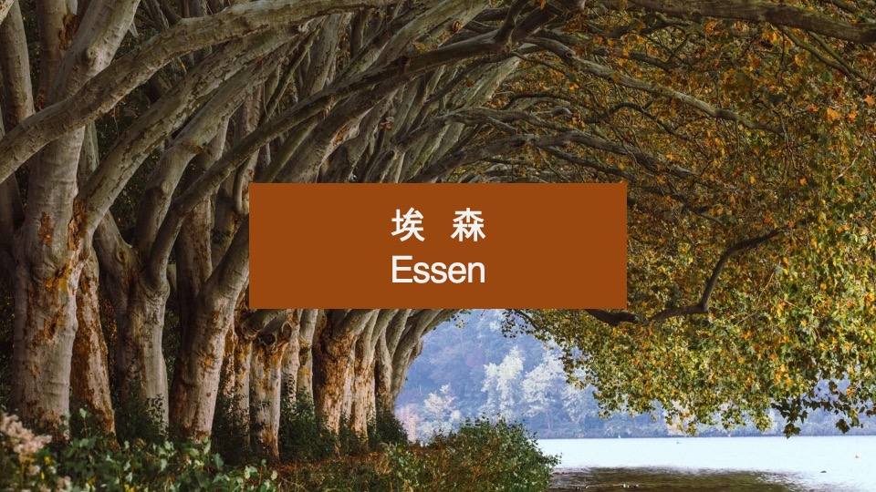 徐州鱼先生的城年度提案