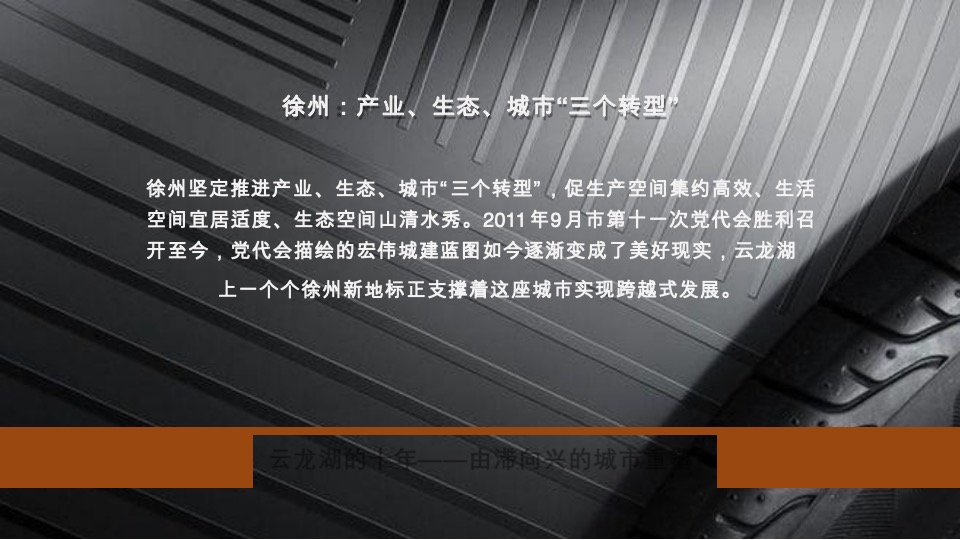 徐州鱼先生的城年度提案