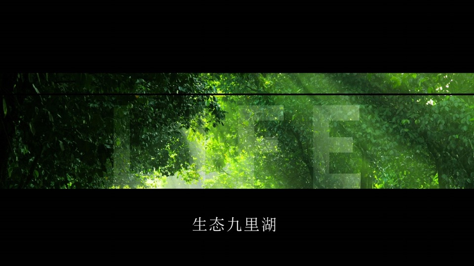 徐州鱼先生的城年度提案