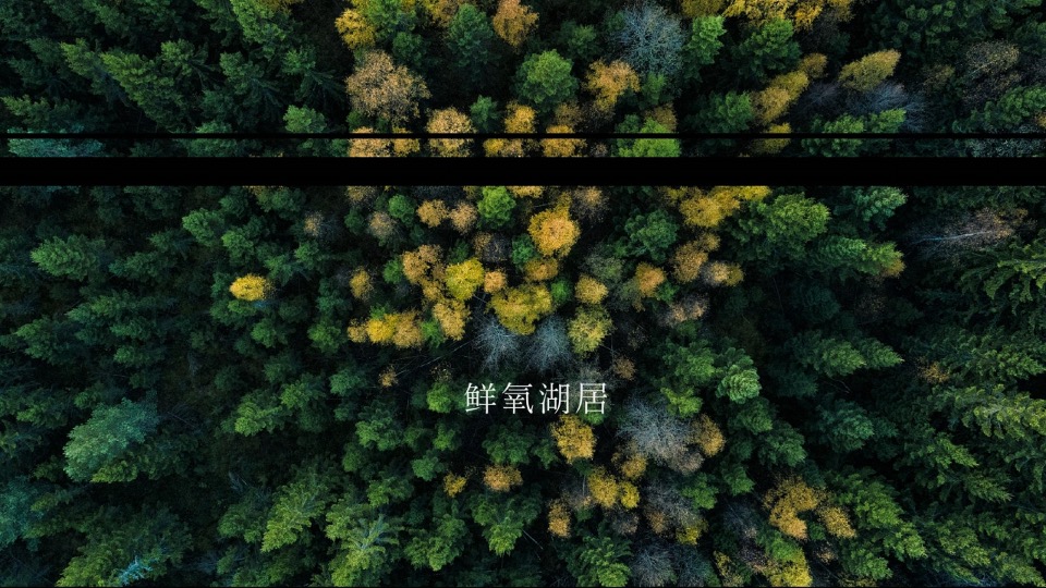 徐州鱼先生的城年度提案