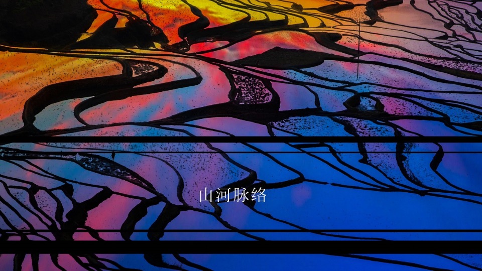 徐州鱼先生的城年度提案