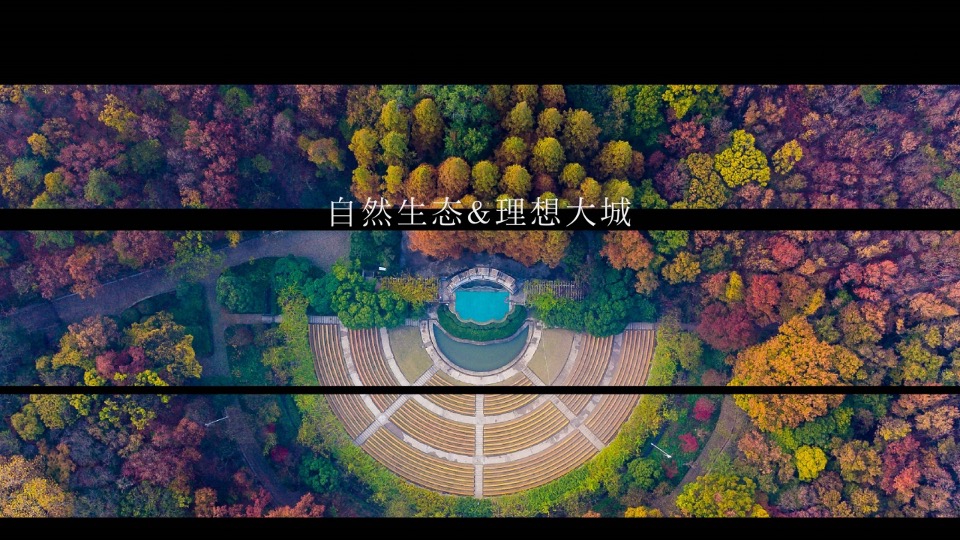 徐州鱼先生的城年度提案