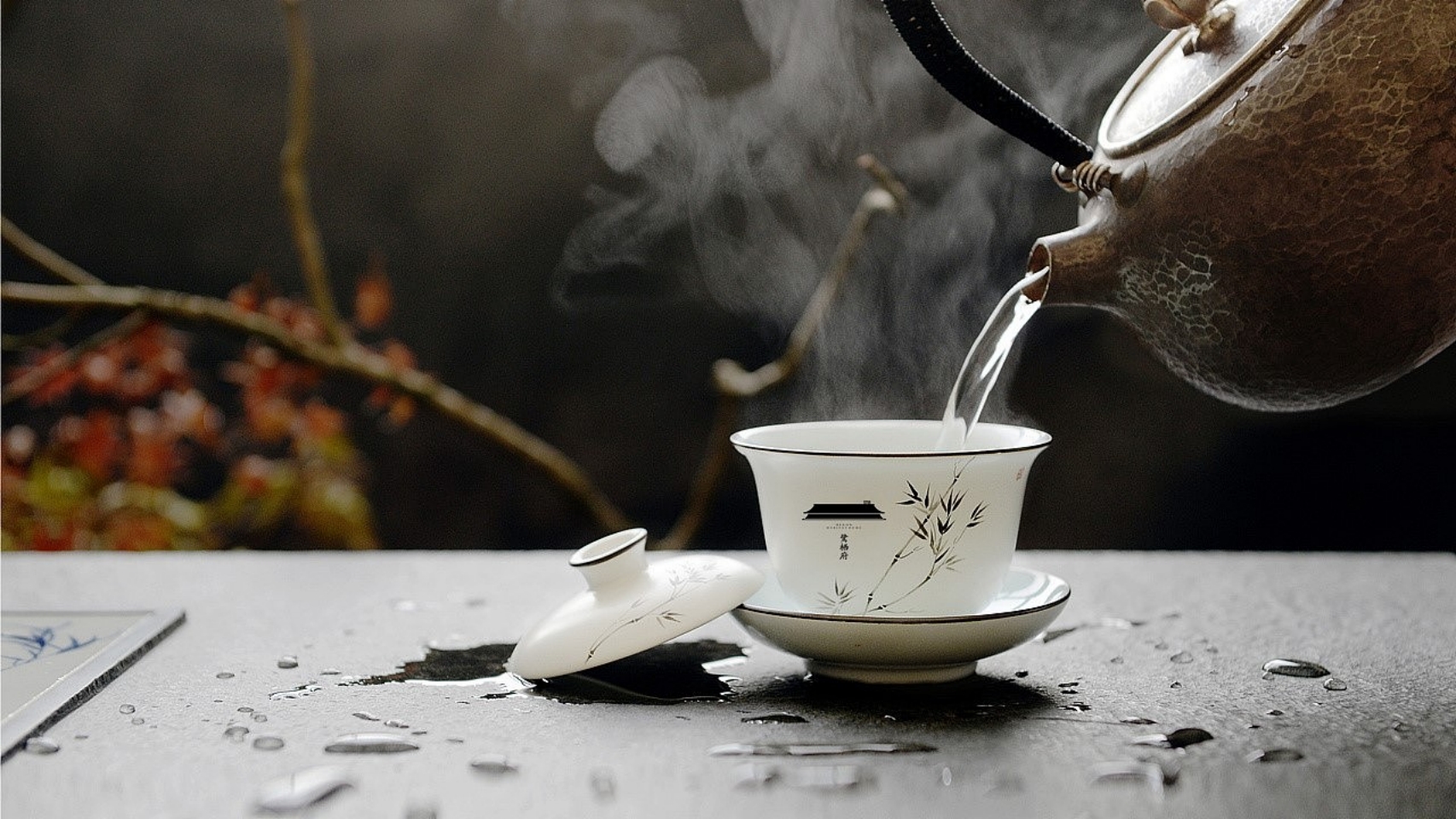 太白赋鹭栖府中式豪案推广提报