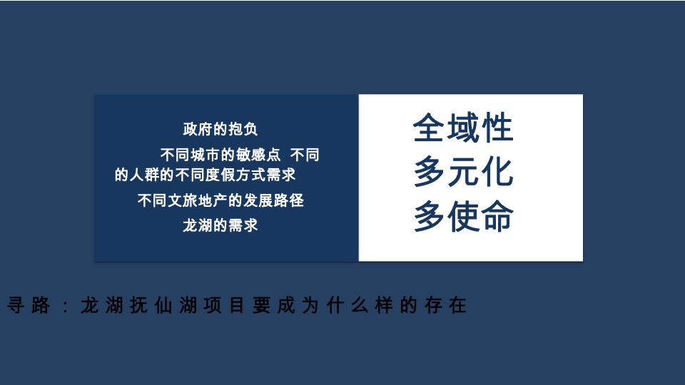 独立思考-龙湖抚仙湖星空国家公园推广竞标案