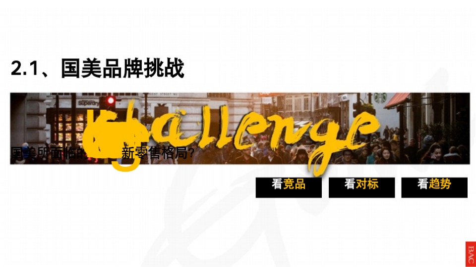 国美年度品牌形象落地思考全案