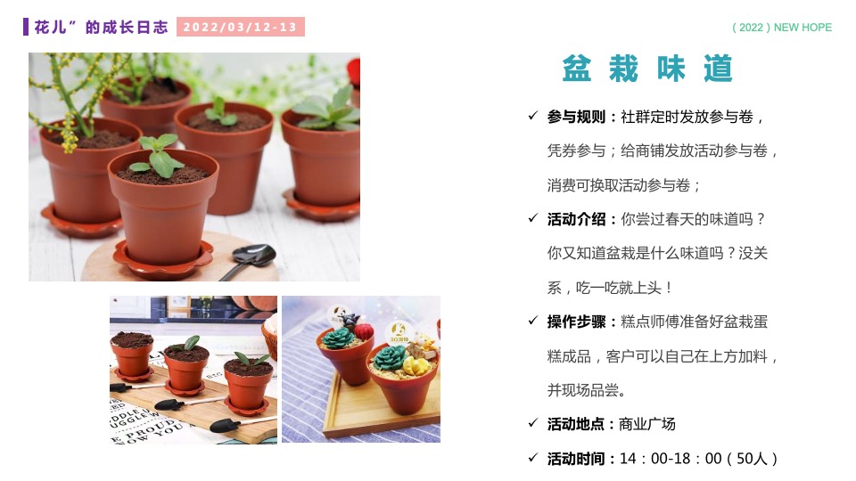 商业广场春日户外美好生活季（春日花花世界主题）PR+SP活动策划方案