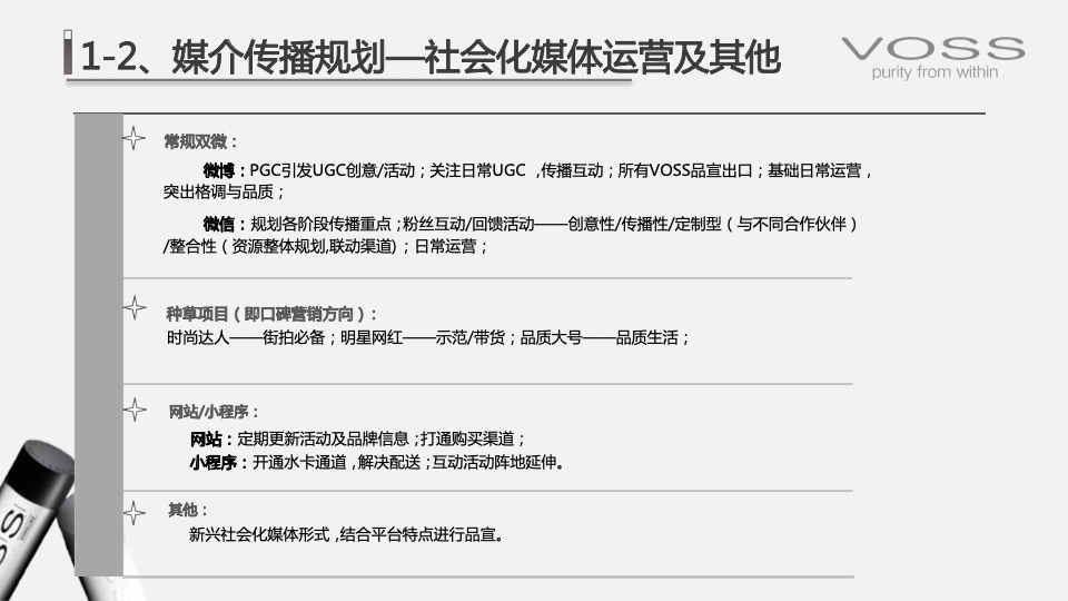 高端矿泉水品牌市场营销策略方案