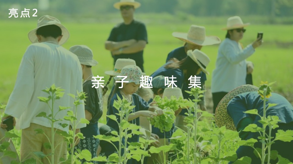 地产项目春季系列暖场（春日焕新生活节主题）活动策划方案